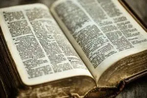 A close-up of an open reference Bible, highlighting its intricate cross-references, concordance entries, and scholarly notes.