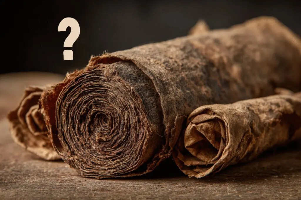 An extremely old scroll with a question mark asking the FAQ is Job the oldest book in the Bible An extremely old scroll with a question mark asking the FAQ is Job the oldest book in the Bible