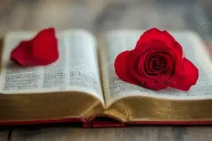 An open Bible to Song of Solomon, with romantic imagery, inviting discovery of its secrets