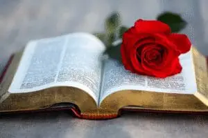 An open Bible with a Lutheran rose symbol, indicating preferred translations for Lutherans