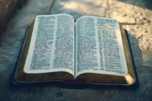 An open Bible with key, highlighted verses, representing what the Bible says about itself