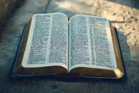 An open Bible with key, highlighted verses, representing what the Bible says about itself