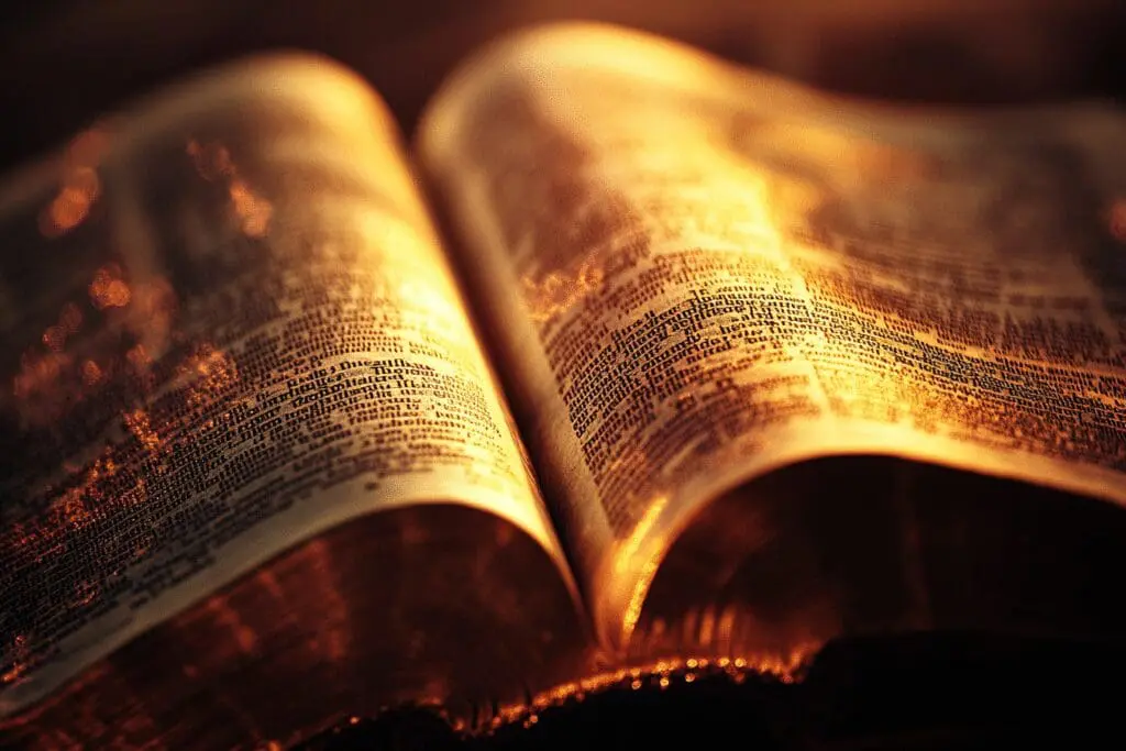 Close-up of NLT Bible text with factual data and light, symbolizing revealed translation facts about its accuracy
