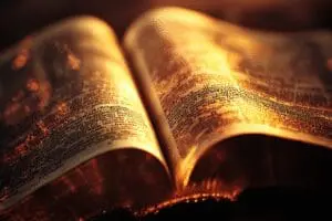 Close-up of NLT Bible text with factual data and light, symbolizing revealed translation facts about its accuracy