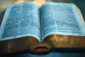 Close-up of a Bible page with a very long verse highlighted, for an in-depth look