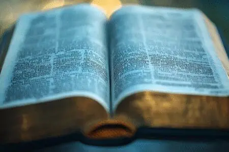Close-up of a Bible page with a very long verse highlighted, for an in-depth look