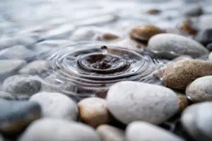 A drop of mud clouding clear water a metaphor for what is sexual immorality in the Bible