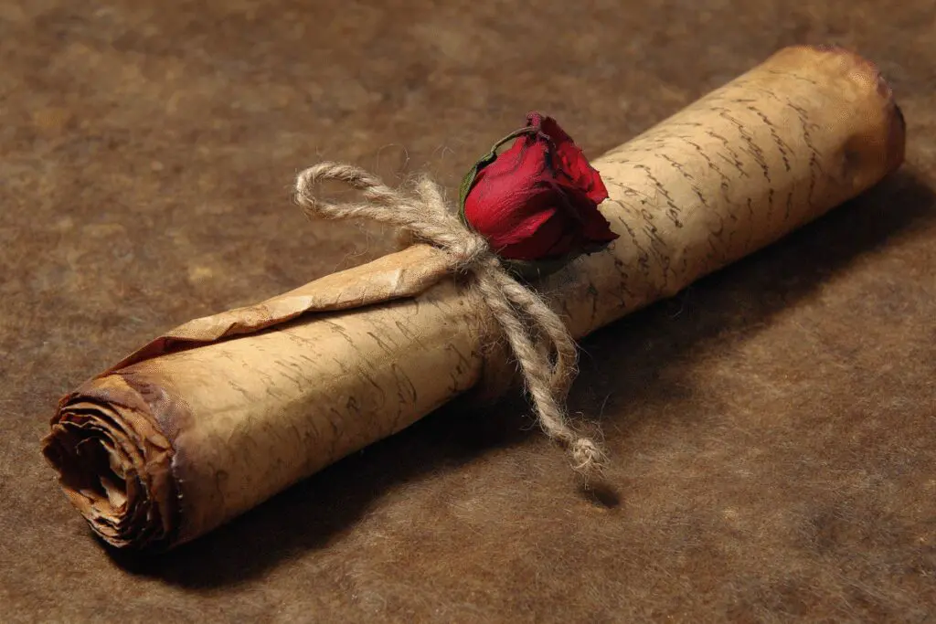 A rose tucked into a scroll answering the FAQ on why is Song of Solomon in the Bible A rose tucked into a scroll answering the FAQ on why is Song of Solomon in the Bible