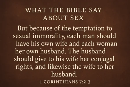 what does the bible say about anal sex